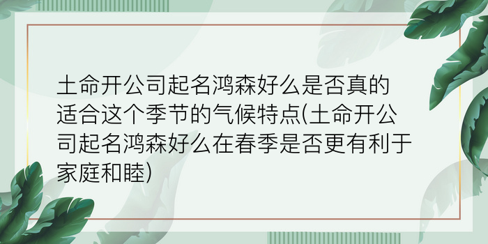 二零二算运网