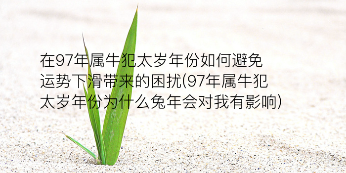 十二生肖农历生日算命表游戏截图