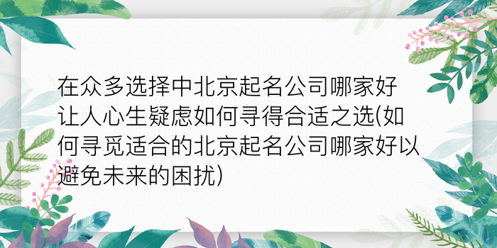 二零二算运网