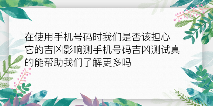 车牌测试吉凶游戏截图