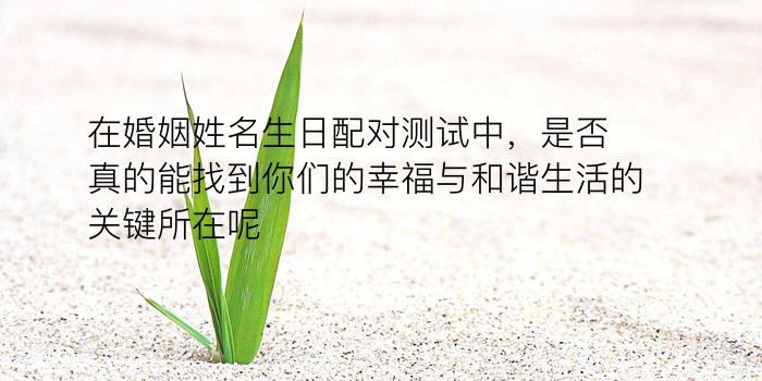 姓名配对占卜游戏截图