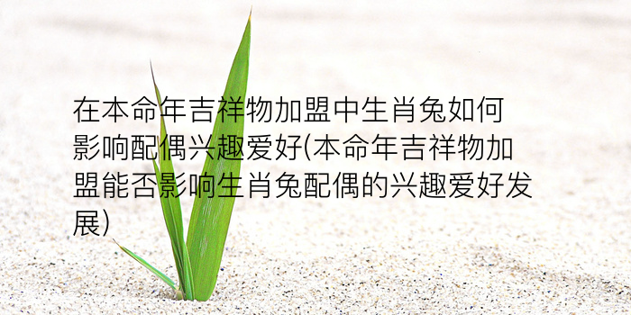 在本命年吉祥物加盟中生肖兔如何影响配偶兴趣爱好(本命年吉祥物加盟能否影响生肖兔配偶的兴趣爱好发展)