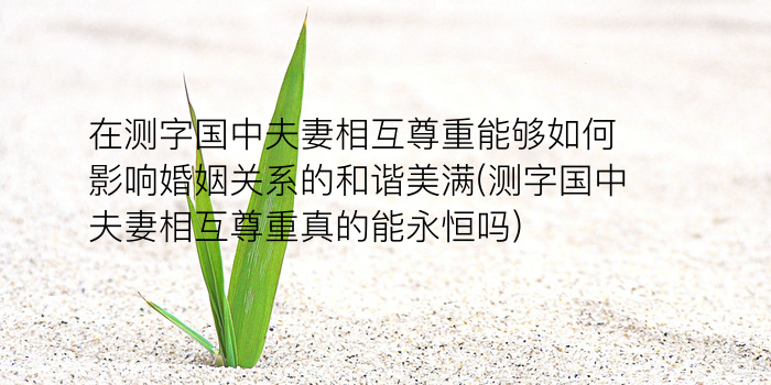 美名腾姓名测试游戏截图