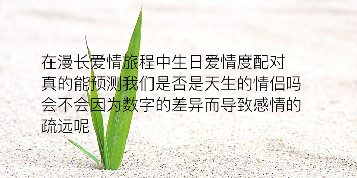 生日书配对游戏截图