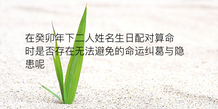 生日运程配对游戏截图