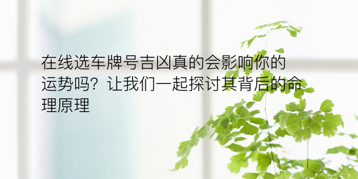 在线选车牌号吉凶真的会影响你的运势吗？让我们一起探讨其背后的命理原理