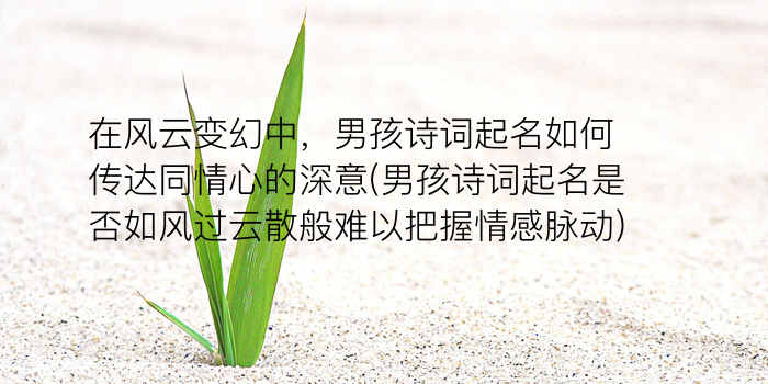 周易取名陈升老师游戏截图