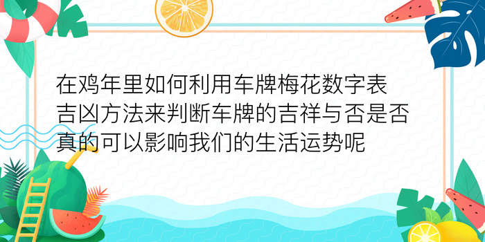 十二生肖的婚姻配对游戏截图