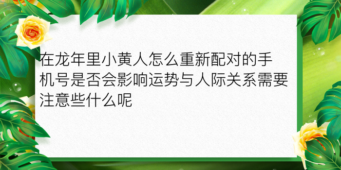 号令天下车牌号码测吉凶游戏截图