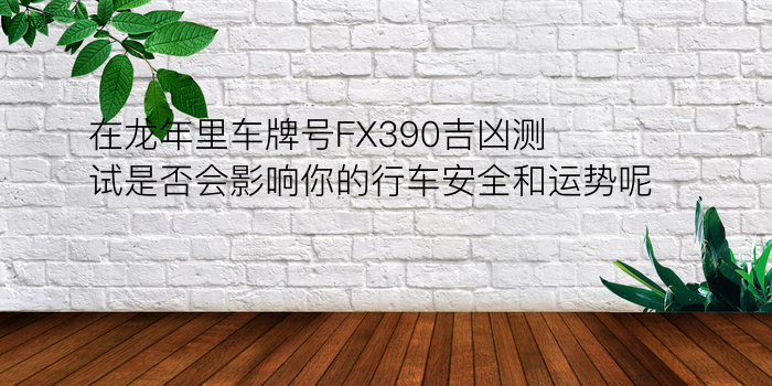 在龙年里车牌号FX390吉凶测试是否会影响你的行车安全和运势呢