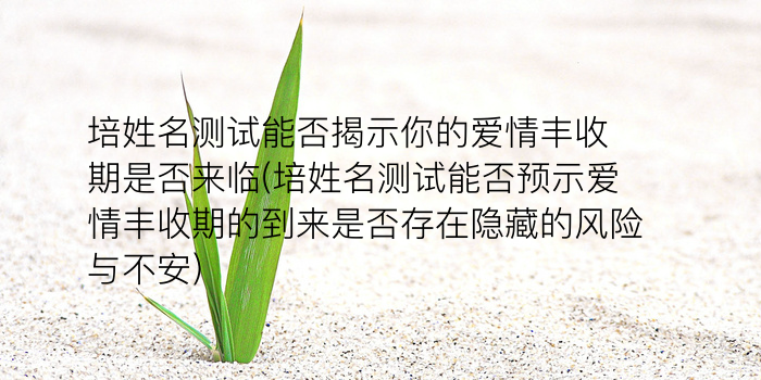 网易姓名测试打分游戏截图