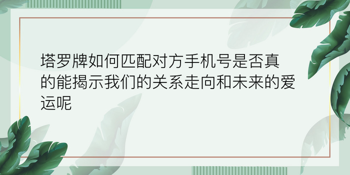 水瓶座匹配星座配对游戏截图