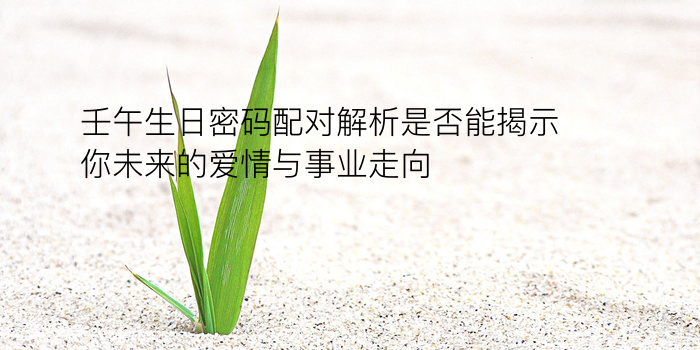 查生日配对游戏截图