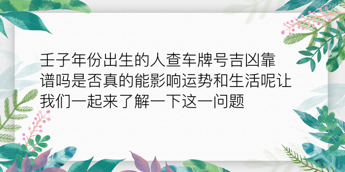 女龙生肖配对游戏截图