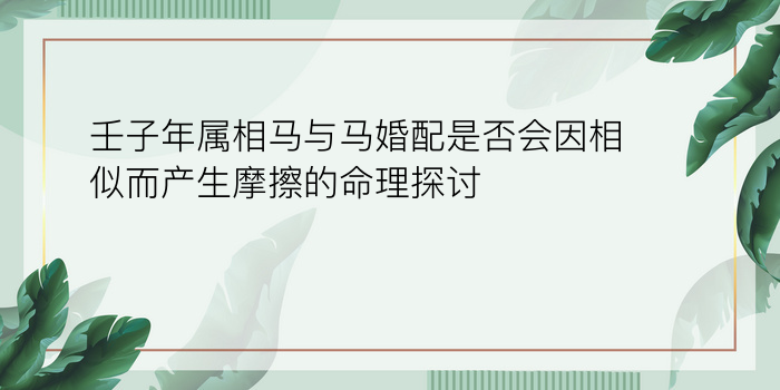 壬子年属相马与马婚配是否会因相似而产生摩擦的命理探讨