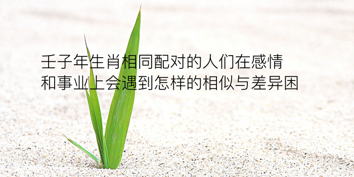 姓名八字配对婚姻游戏截图