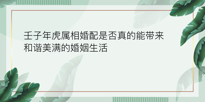 壬子年虎属相婚配是否真的能带来和谐美满的婚姻生活