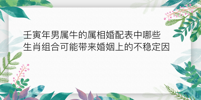 壬寅年男属牛的属相婚配表中哪些生肖组合可能带来婚姻上的不稳定因素