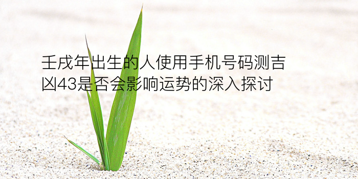 汽车牌照吉凶打分游戏截图