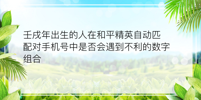 壬戌年出生的人在和平精英自动匹配对手机号中是否会遇到不利的数字组合