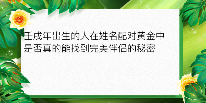 壬戌年出生的人在姓名配对黄金中是否真的能找到完美伴侣的秘密