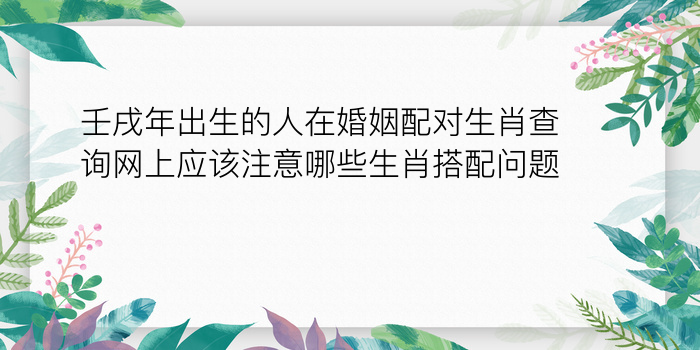 壬戌年出生的人在婚姻配对生肖查询网上应该注意哪些生肖搭配问题