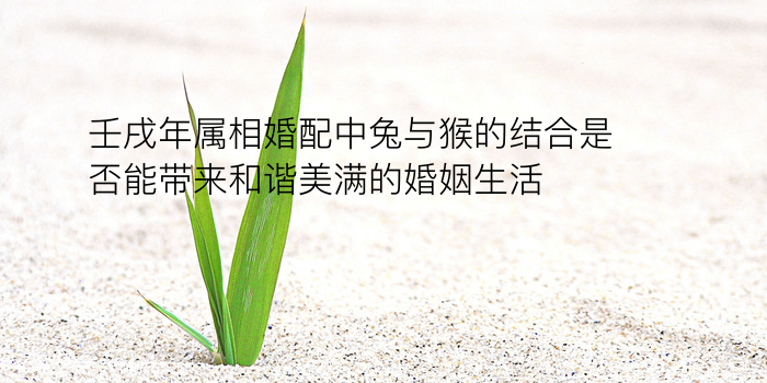 星座名字配对游戏截图