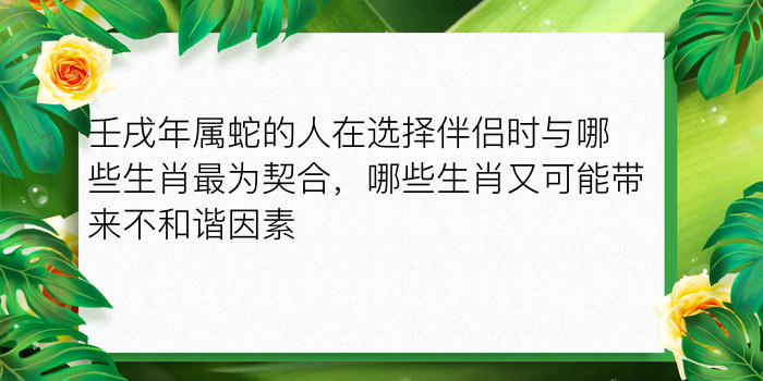 怎样测试车牌号吉凶游戏截图