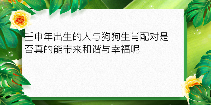 壬申年出生的人与狗狗生肖配对是否真的能带来和谐与幸福呢