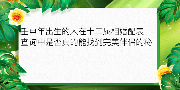 壬申年出生的人在十二属相婚配表查询中是否真的能找到完美伴侣的秘密