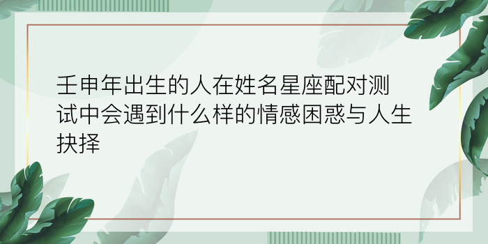 壬申年出生的人在姓名星座配对测试中会遇到什么样的情感困惑与人生抉择