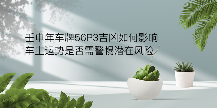 壬申年车牌56P3吉凶如何影响车主运势是否需警惕潜在风险