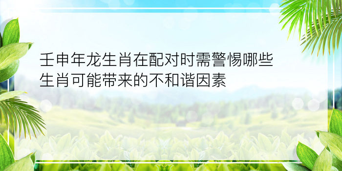 壬申年龙生肖在配对时需警惕哪些生肖可能带来的不和谐因素