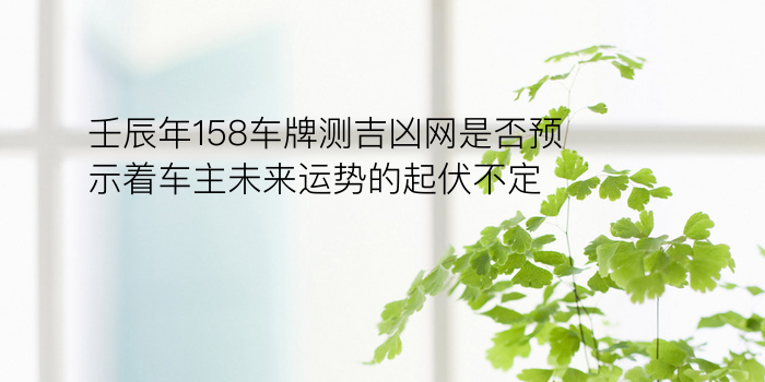 壬辰年158车牌测吉凶网是否预示着车主未来运势的起伏不定