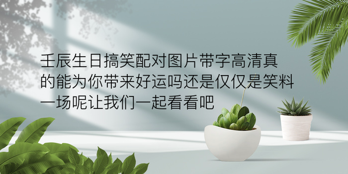 生日配对测算游戏截图