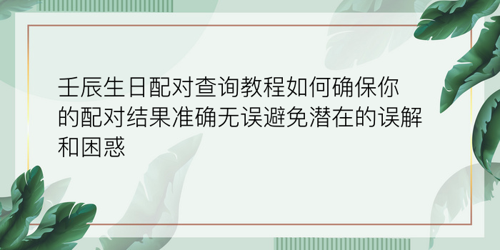 壬辰生日配对查询教程如何确保你的配对结果准确无误避免潜在的误解和困惑