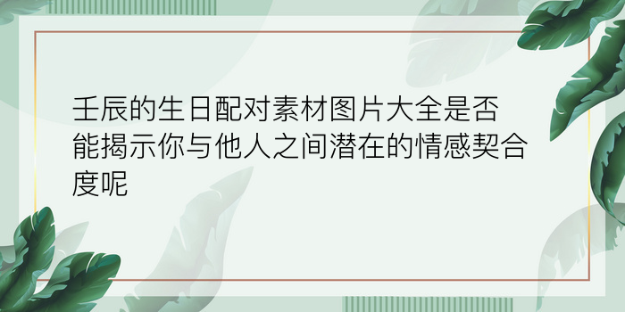 姓名配对爱情是什么游戏截图