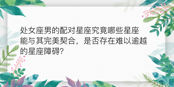 处女座男的配对星座究竟哪些星座能与其完美契合，是否存在难以逾越的星座障碍？