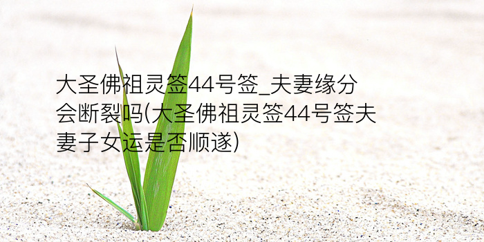 黄大仙16签游戏截图