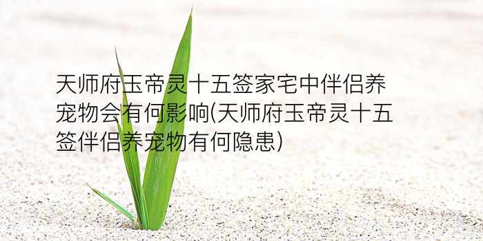 妈祖灵签辛末游戏截图