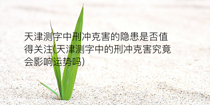 诸葛测字4个字游戏截图