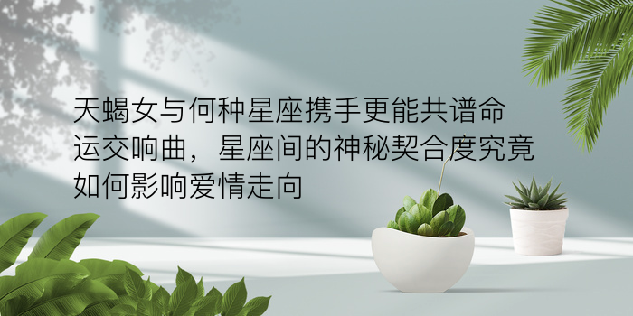 车牌号码测吉凶准吗游戏截图