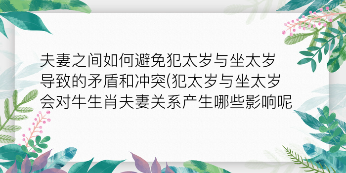 二零二算运网