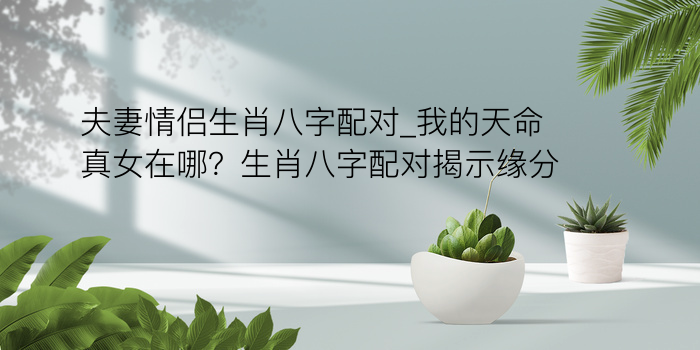 合婚算命八字游戏截图