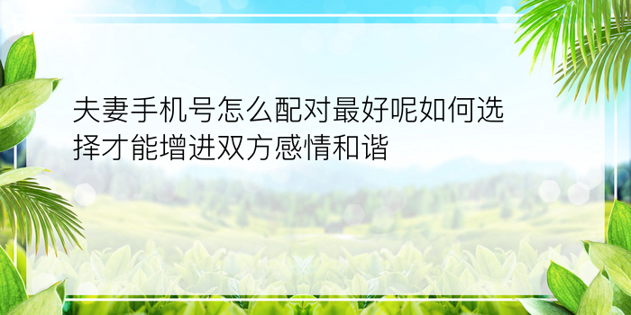 夫妻手机号怎么配对最好呢如何选择才能增进双方感情和谐