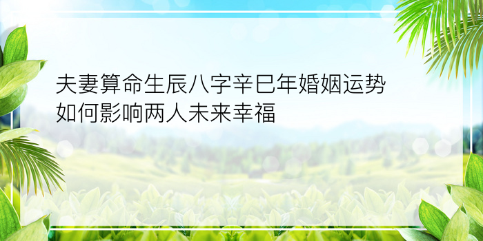 夫妻算命生辰八字辛巳年婚姻运势如何影响两人未来幸福