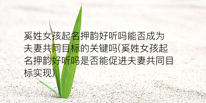 公司起名大全免费版游戏截图