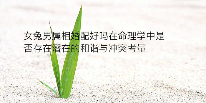 车牌号码查询吉凶游戏截图