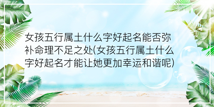 双胞胎女宝宝起名游戏截图