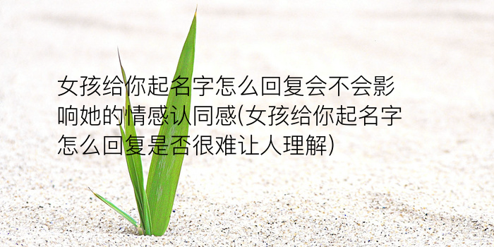 管理咨询公司起名游戏截图